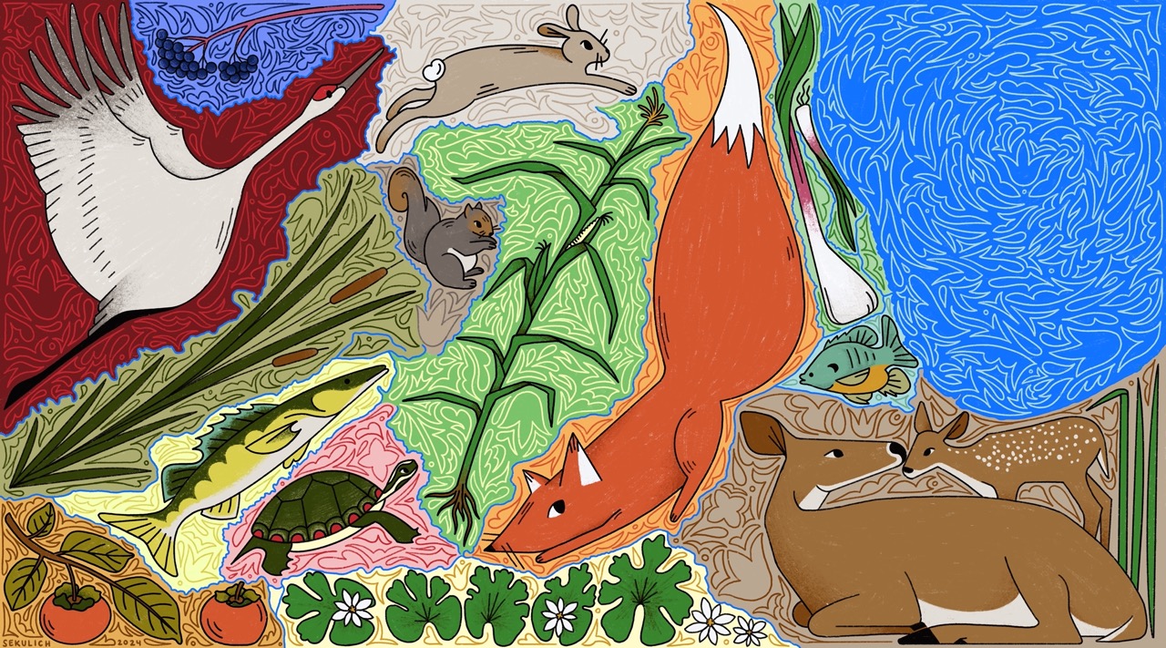 An illustrated interpretation of the